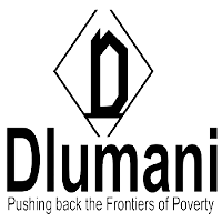 Dlumani Business Enterprise
